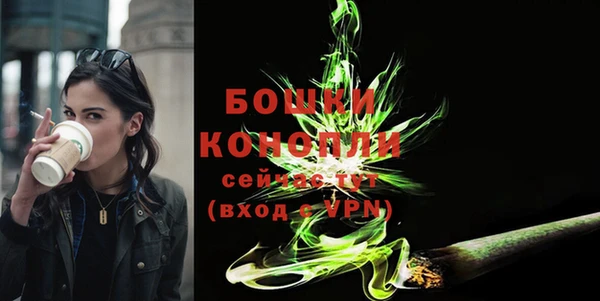 бошки Гусев