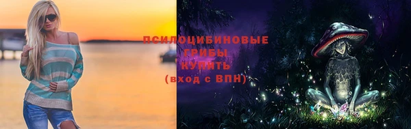 марки lsd Гусиноозёрск
