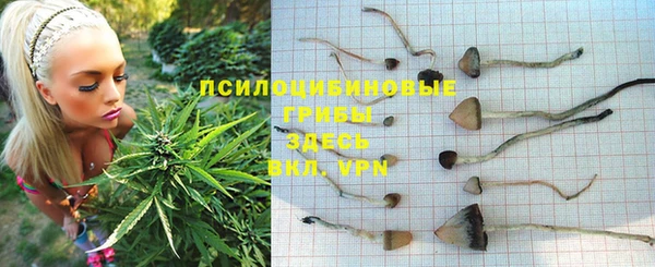 марки lsd Гусиноозёрск