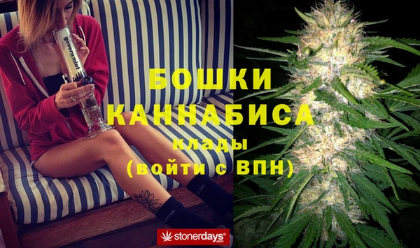 бошки Гусев